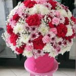 سبد گل برای دوست دختر خاله ، دختر دایی