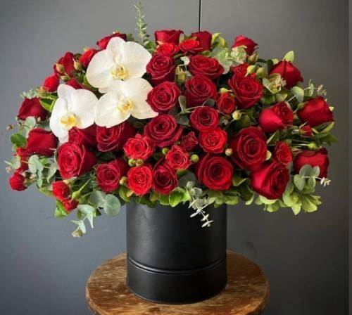 سطل رز هلندی قرمز