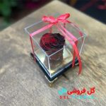 گل رز ابدی