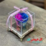 رز جاودان بنفش