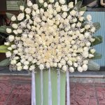 200 شاخه رز سفید باکس ایستاده