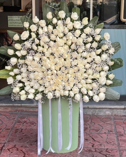 200 شاخه رز سفید باکس ایستاده