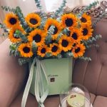 گل و کیک آفتابگردان