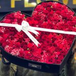 قلب خیلی بزرگ