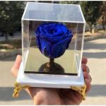 باکس گل رز رنگی