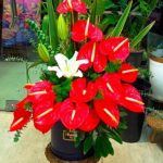 گل برای مادرزن