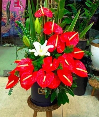 گل برای مادرزن
