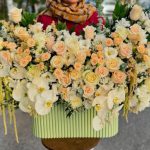 باکس شیار دار جدید