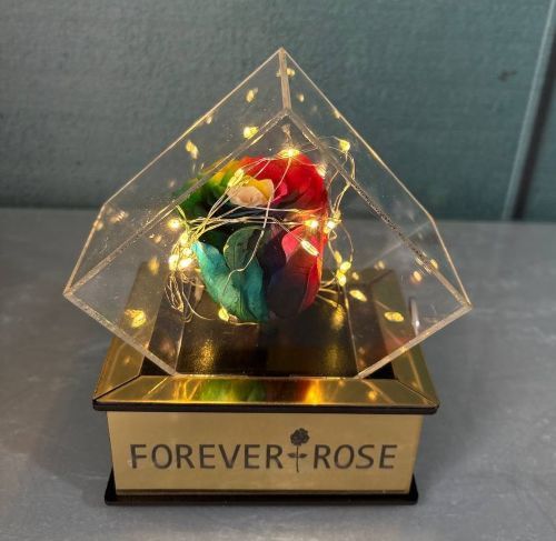 رز جاودان موزیکال چراغدار و باکس شیشه ای