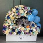 کادو برای نوزاد پسر