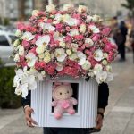 هدیه لاکچری نوزادی با عروسک