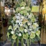 جام گل افتتاحیه