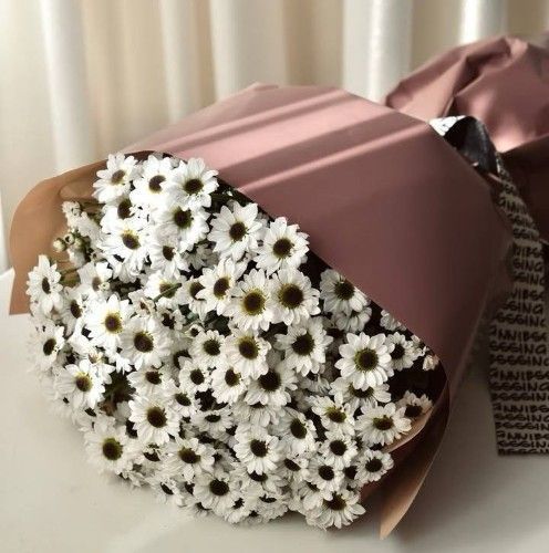 دسته گل بابونه مشکی