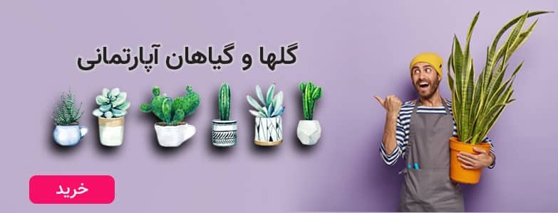 promo-banner-image