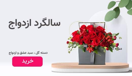 promo-banner-image