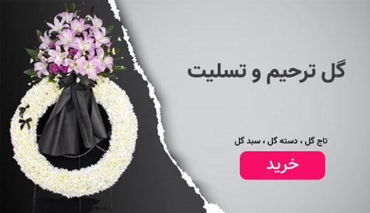 promo-banner-image