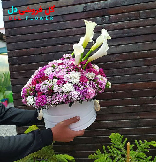 بهترین گل ها برای جشن تولد دوست دختر