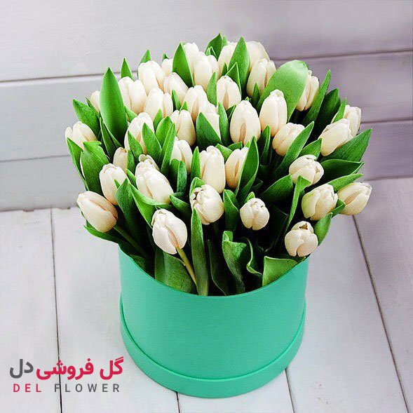 سفارش گل لاله