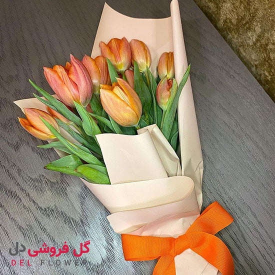 گل لاله سرخ