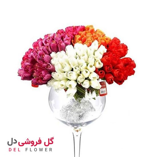 گل لاله در گلدان