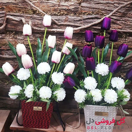 کاشت گل لاله