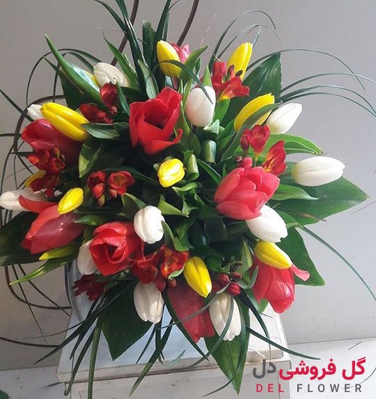 خرید گل لاله