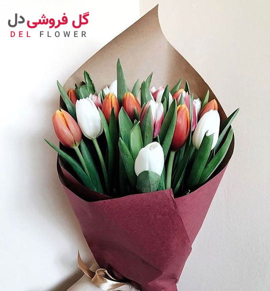 گل لاله ایرانی
