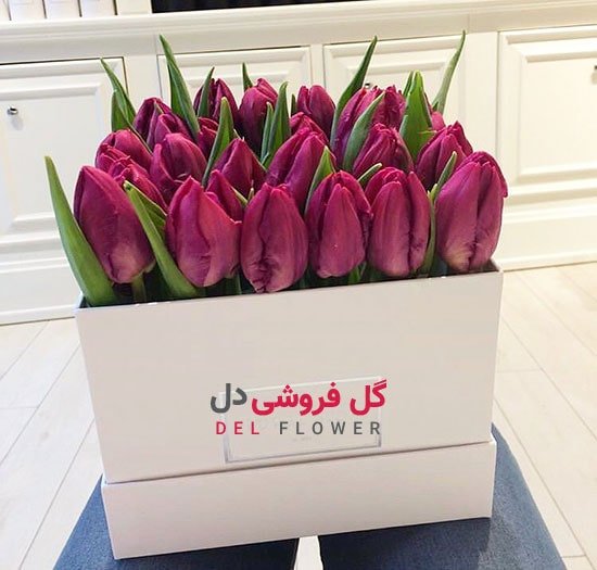 گل لاله tulip