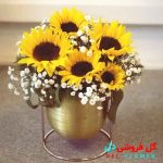 جعبه گل خاص