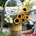 باکس گل بادکنکی