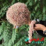 دسته گل عروس با ژیپسوفیلا