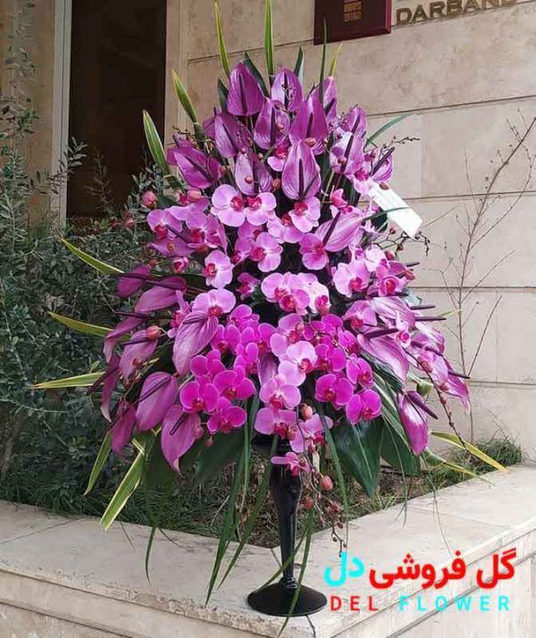 جام گل