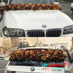 ماشین عروس زیبا و شیک