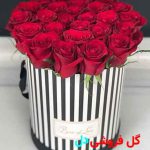 گل رز شاخه ای