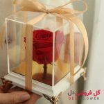 گل رز جاودان