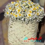 گل نرگس روز مادر