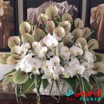 سبد گل ارکیده و آنتوریوم