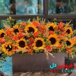 خاص ترین هدیه شب یلدا