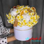 گل نرگس شب یلدا