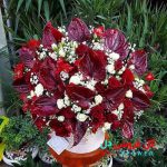 خرید اینترنتی گل یلدا